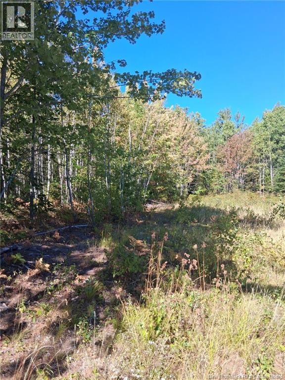 Lot 04-16 Sunset View Lane, Cumberland Bay, New Brunswick E4A 0A2 - Photo 2 - NB129290