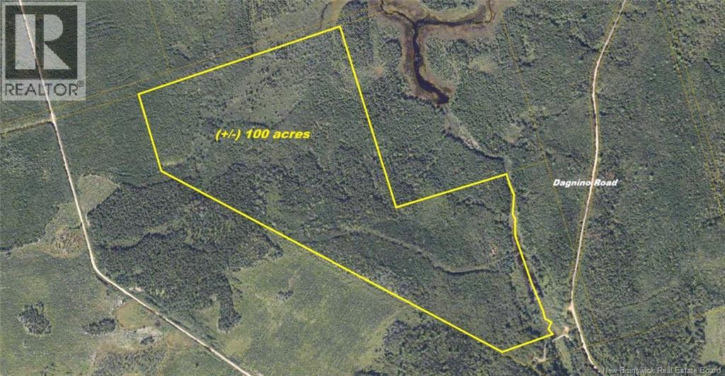 Dagnino Road, Snider Mountain, New Brunswick  E5P 1J8 - Photo 1 - NB129306