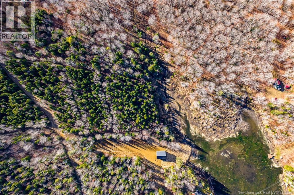 3 Acres Ch Doucet, Val-Doucet, New Brunswick E8R 1X4 - Photo 17 - NB129269