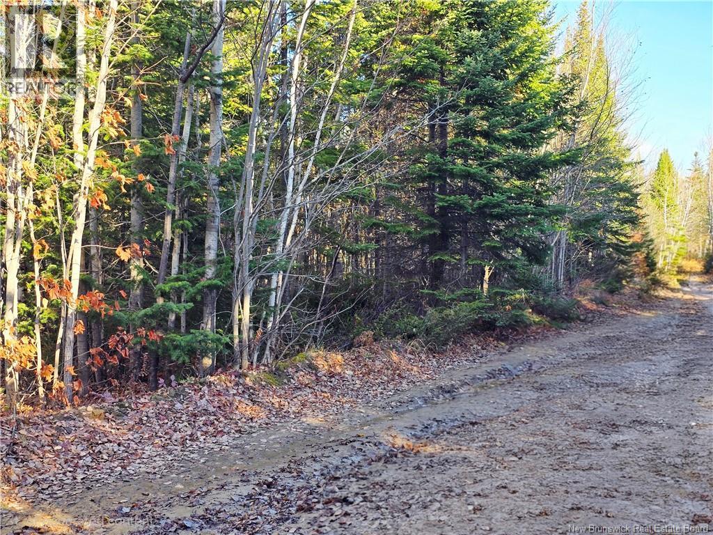 3 Acres Ch Doucet, Val-Doucet, New Brunswick E8R 1X4 - Photo 20 - NB129269