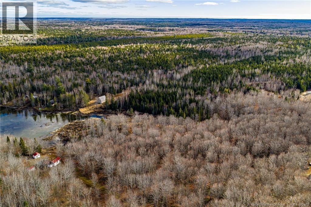 3 Acres Ch Doucet, Val-Doucet, New Brunswick E8R 1X4 - Photo 6 - NB129269
