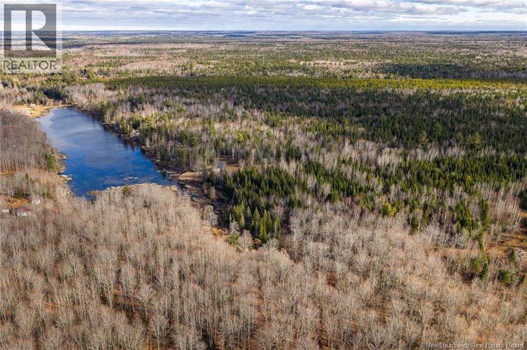 3 Acres Ch Doucet, Val-Doucet, New Brunswick E8R 1X4 - Photo 7 - NB129269