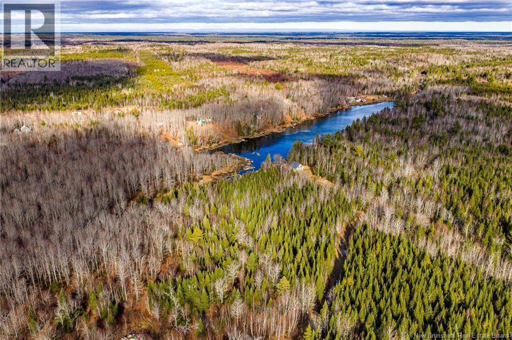 3 Acres Ch Doucet, Val-Doucet, New Brunswick E8R 1X4 - Photo 8 - NB129269