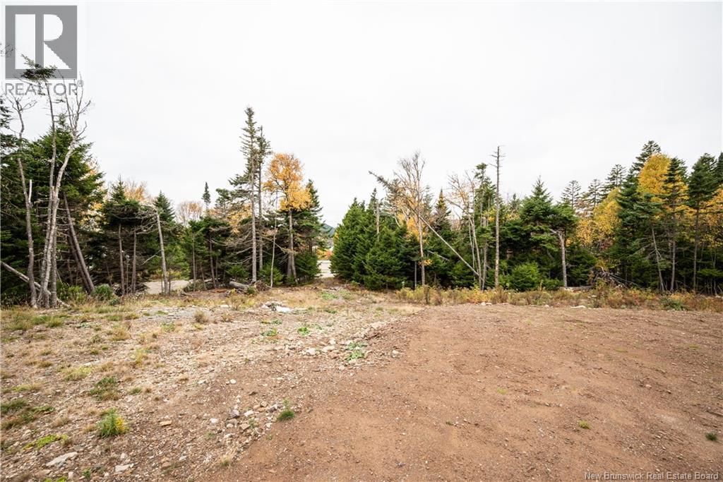 39 Chignecto Drive, Alma, New Brunswick E4H 1V9 - Photo 40 - NB128904