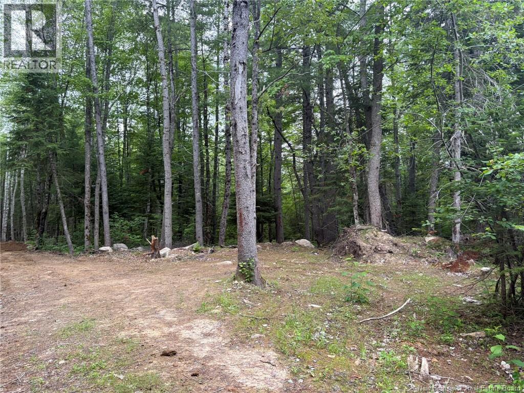 0 Tucker Lane, White Rapids, New Brunswick  E3B 4P8 - Photo 10 - NB129391
