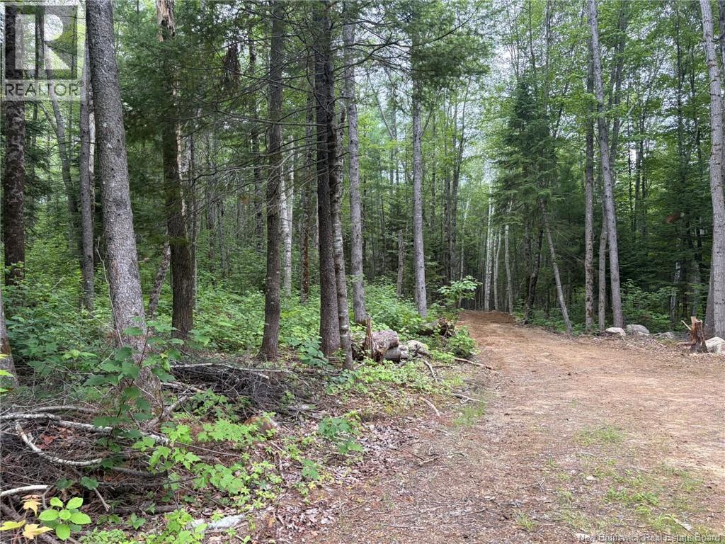 0 Tucker Lane, White Rapids, New Brunswick  E3B 4P8 - Photo 11 - NB129391