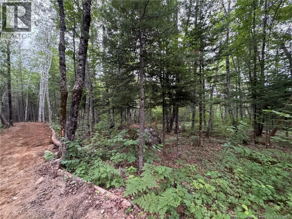 0 Tucker Lane, White Rapids, New Brunswick  E3B 4P8 - Photo 14 - NB129391