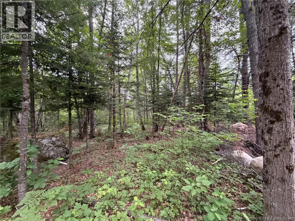 0 Tucker Lane, White Rapids, New Brunswick  E3B 4P8 - Photo 15 - NB129391