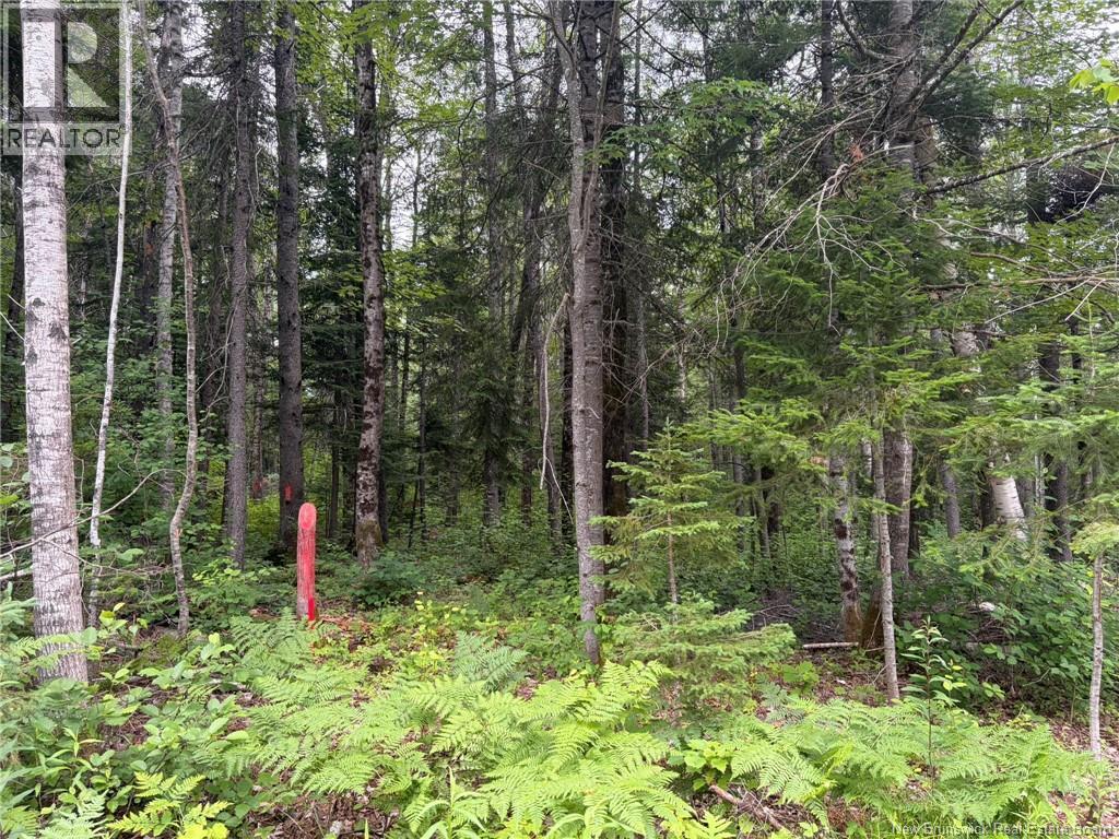 0 Tucker Lane, White Rapids, New Brunswick  E3B 4P8 - Photo 17 - NB129391