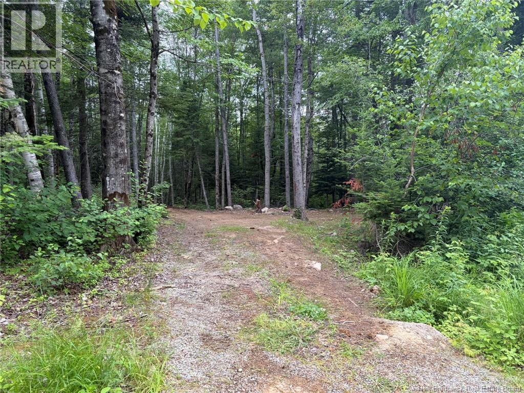 0 Tucker Lane, White Rapids, New Brunswick  E3B 4P8 - Photo 9 - NB129391