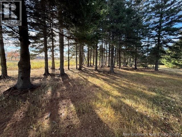 61 Laviolette Road, Belledune, New Brunswick E8G 2G3 - Photo 27 - NB129353