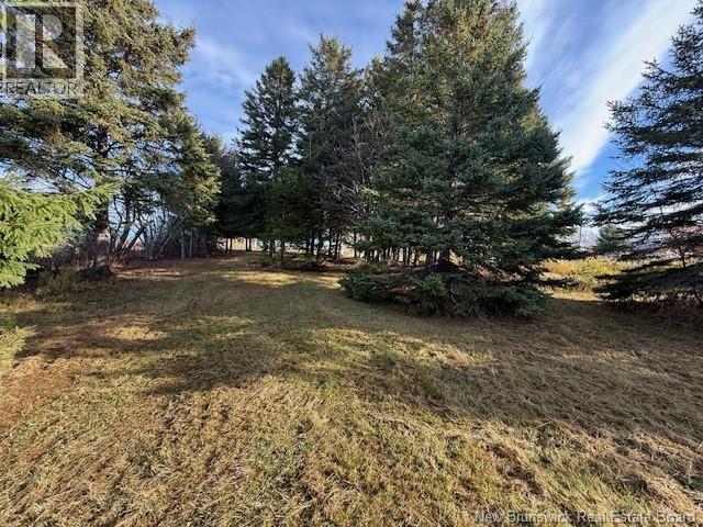 61 Laviolette Road, Belledune, New Brunswick E8G 2G3 - Photo 38 - NB129353