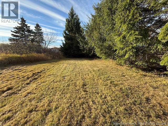 61 Laviolette Road, Belledune, New Brunswick E8G 2G3 - Photo 39 - NB129353