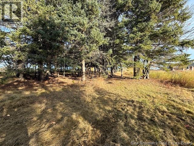 61 Laviolette Road, Belledune, New Brunswick E8G 2G3 - Photo 40 - NB129353