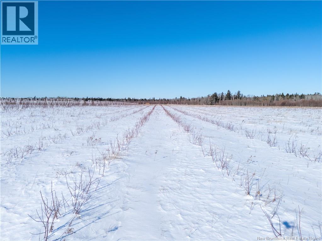 Lot Ch Perry, Sainte-Anne-De-Kent, New Brunswick  E4S 1C4 - Photo 10 - NB129422