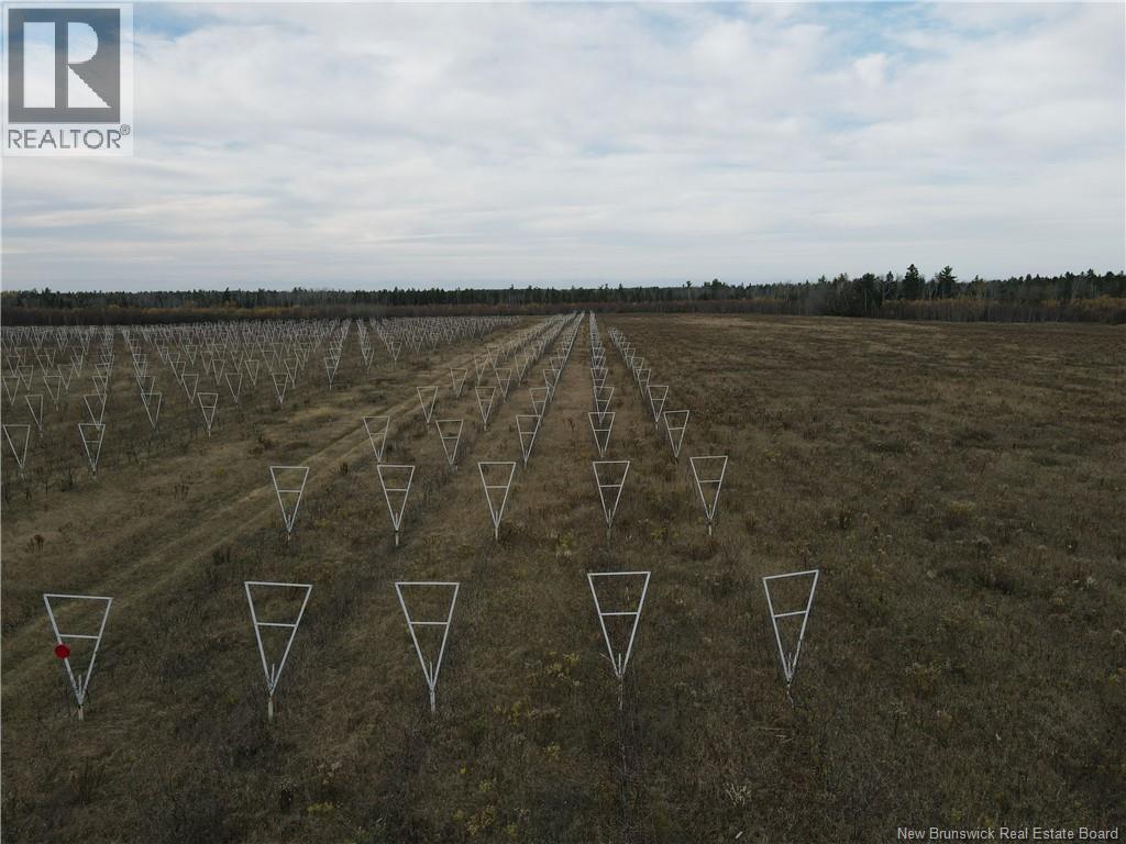 Lot Ch Perry, Sainte-Anne-De-Kent, New Brunswick  E4S 1C4 - Photo 14 - NB129422