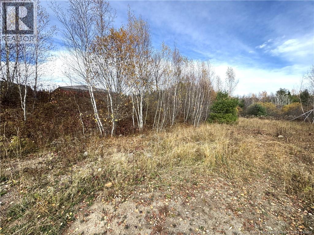 Lot Cowperthwaite Street, Fredericton, New Brunswick  E3A 9Y5 - Photo 4 - NB129395