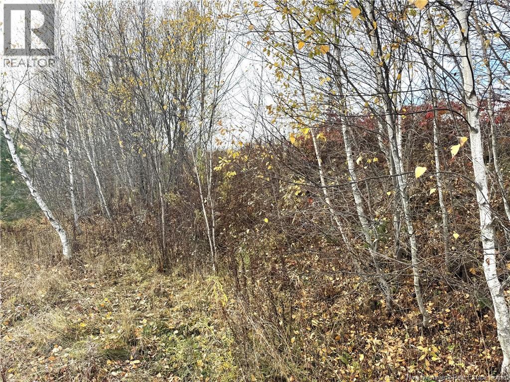 Lot Cowperthwaite Street, Fredericton, New Brunswick  E3A 9Y5 - Photo 5 - NB129395