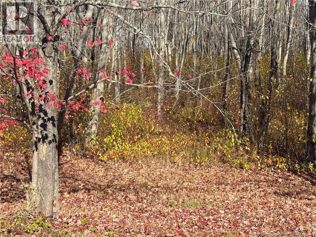 55 Old Ferry Road Unit# 205, Miramichi, New Brunswick  E1V 0C2 - Photo 21 - NB129435