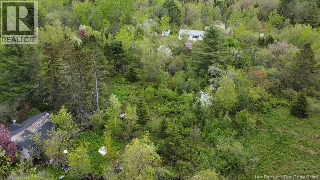 196 Ledge Road, Dufferin, New Brunswick  E3L 3P2 - Photo 5 - NB129455