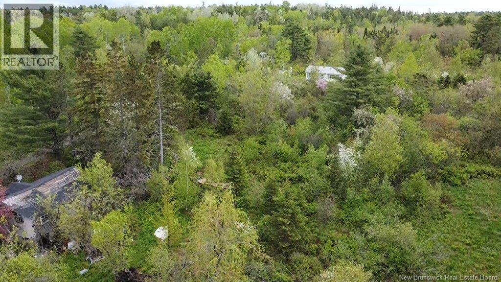 196 Ledge Road, Dufferin, New Brunswick  E3L 3P2 - Photo 7 - NB129455