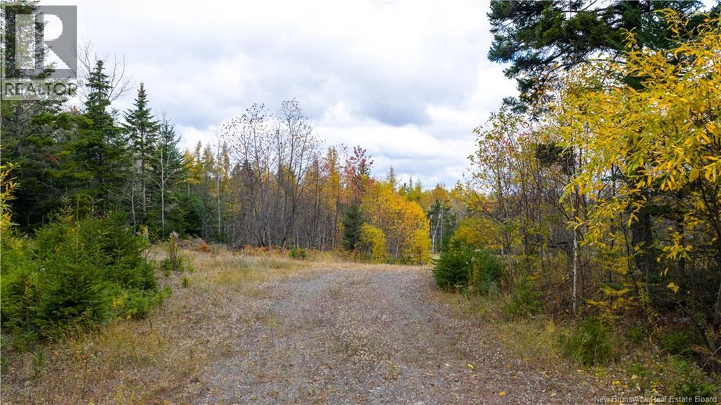Route 172, St George, New Brunswick  E5C 3C6 - Photo 12 - NB129264