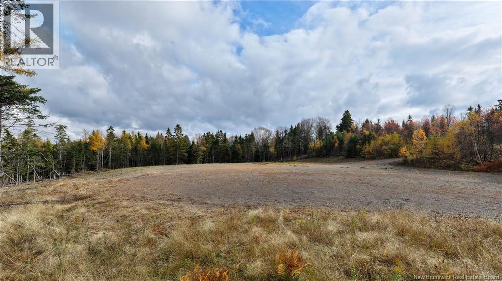 Route 172, St George, New Brunswick  E5C 3C6 - Photo 4 - NB129262