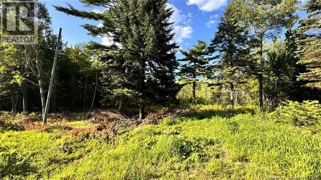 8 Graham Street, Lower Lincoln, New Brunswick  E3B 7E8 - Photo 2 - NB129533