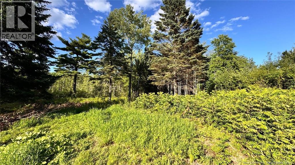 8 Graham Street, Lower Lincoln, New Brunswick  E3B 7E8 - Photo 3 - NB129533