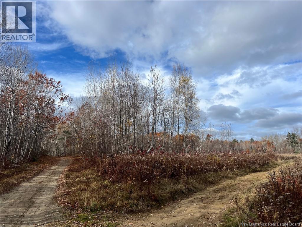 02 Hall Road, Upper Mills, New Brunswick  E3L 5W8 - Photo 6 - NB129555