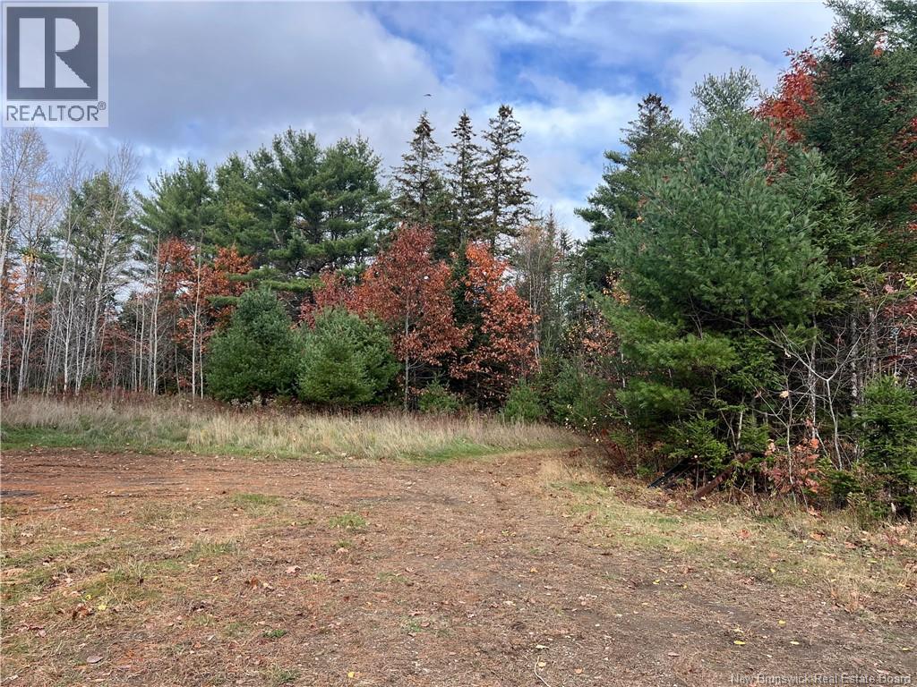 01 Hall Road, Mohannes, New Brunswick  E3L 5V8 - Photo 10 - NB129571