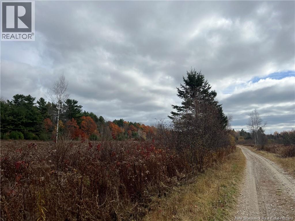 01 Hall Road, Mohannes, New Brunswick  E3L 5V8 - Photo 3 - NB129571