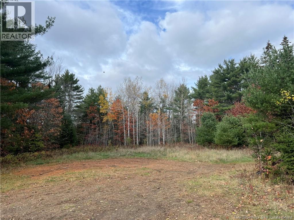 01 Hall Road, Mohannes, New Brunswick  E3L 5V8 - Photo 9 - NB129571