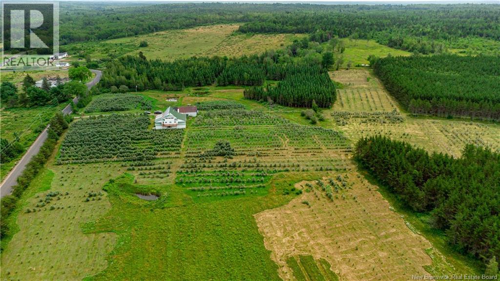 320 Red Bank Road, Chipman, New Brunswick  E4A 2B1 - Photo 9 - NB129583