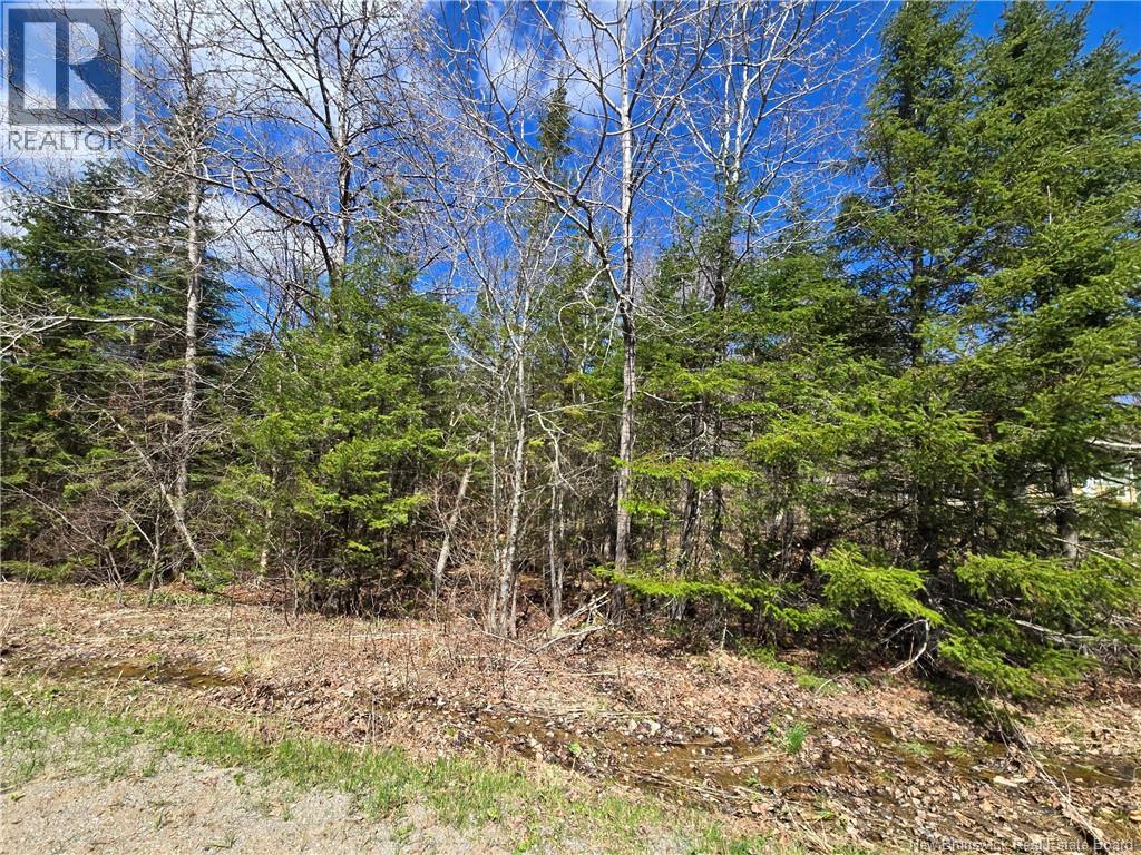 318 Ketchum Road, Kingston, New Brunswick E5N 1S3 - Photo 4 - NB129617