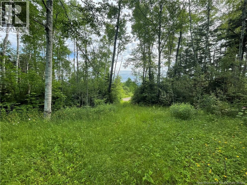 755 Cape Road, Newburg, New Brunswick E7N 1W5 - Photo 2 - NB129632