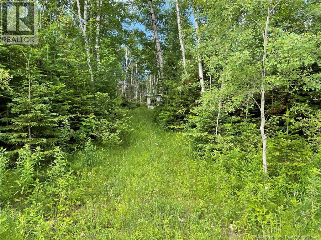 755 Cape Road, Newburg, New Brunswick E7N 1W5 - Photo 3 - NB129632