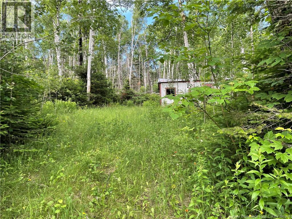 755 Cape Road, Newburg, New Brunswick E7N 1W5 - Photo 4 - NB129632