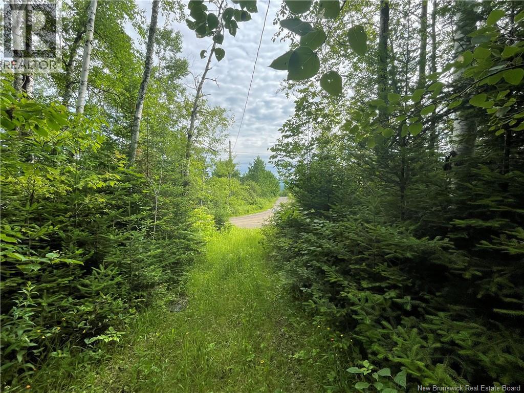 755 Cape Road, Newburg, New Brunswick E7N 1W5 - Photo 7 - NB129632