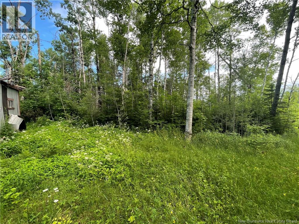 755 Cape Road, Newburg, New Brunswick E7N 1W5 - Photo 9 - NB129632