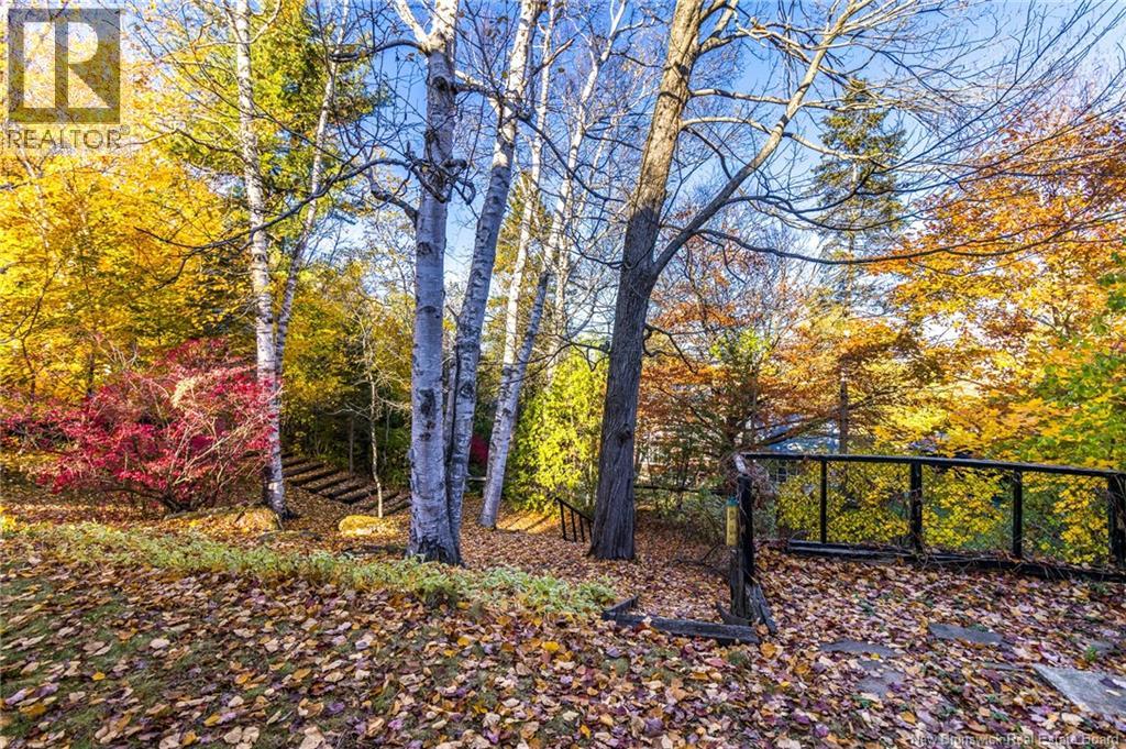 295 Montgomery Street, Fredericton, New Brunswick E3B 2X2 - Photo 3 - NB129566