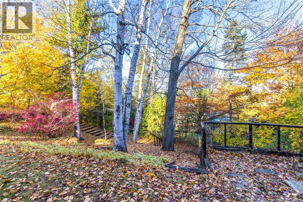 295 Montgomery Street, Fredericton, New Brunswick E3B 2X2 - Photo 4 - NB129566