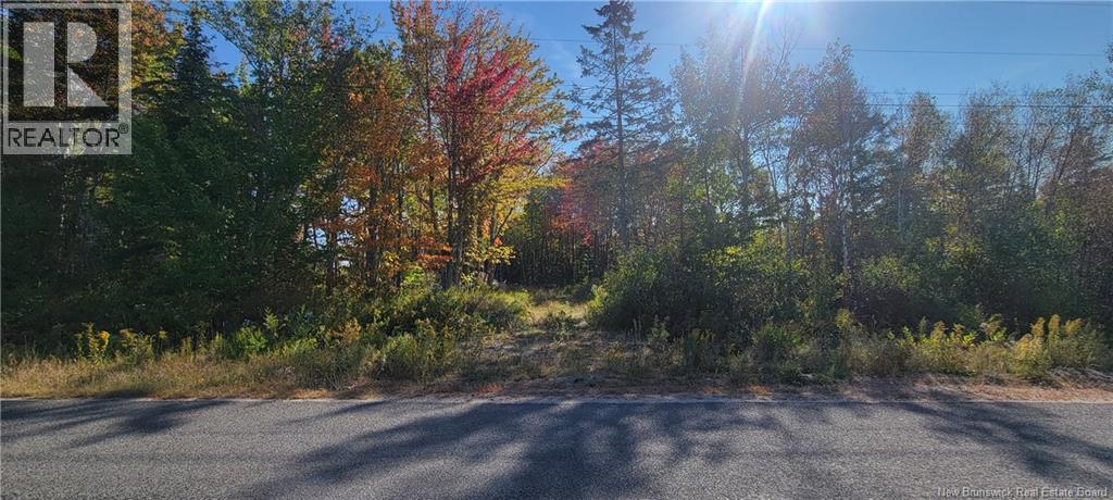 Lot Meadow Brook Road, Wirral, New Brunswick  E5L 2T8 - Photo 5 - NB129419