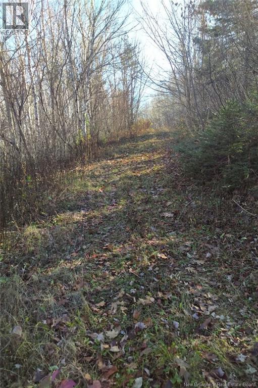 449 Harriet O'ree Road, Sussex, New Brunswick  E4E 0H2 - Photo 10 - NB128307