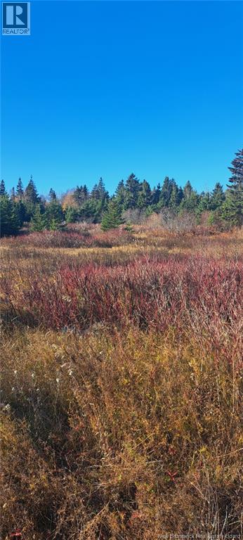 1.3 Acres Route 113, Miscou, New Brunswick  E8T 1C7 - Photo 6 - NB129299