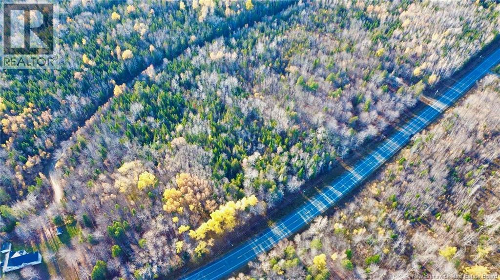 Lot Route 126, Collette, New Brunswick  E4Y 2T3 - Photo 4 - NB129360