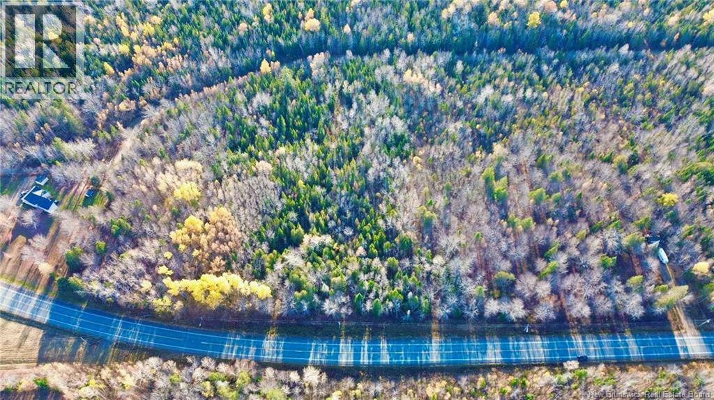Lot Route 126, Collette, New Brunswick  E4Y 2T3 - Photo 5 - NB129360
