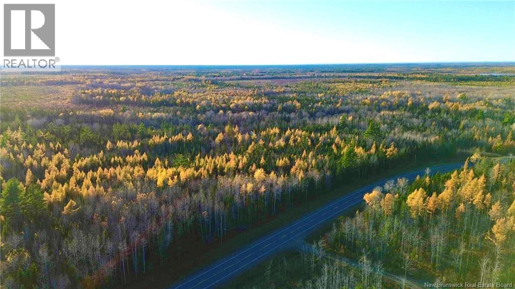 Subdivision Lot-C Route 126, Collette, New Brunswick  E4Y 2T3 - Photo 3 - NB129594