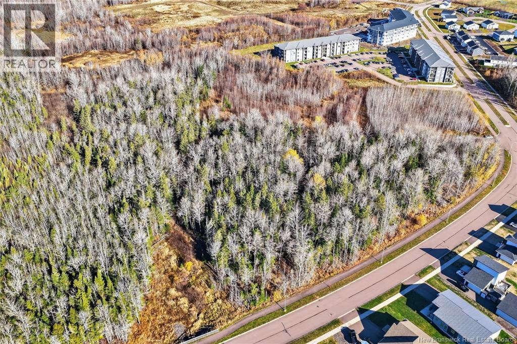 Lots 13-1007a & 13-1008a Leopold F. Belliveau, Moncton, New Brunswick E1A 9N9 - Photo 5 - NB129748