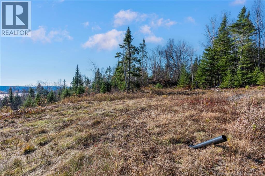 2346 Route 124, Hatfield Point, New Brunswick E5T 2T1 - Photo 48 - NB126651